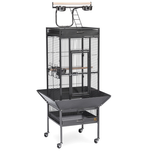 Yaheetech Large Floor Bird Cages You'll Love in 2022 Wayfair Canada